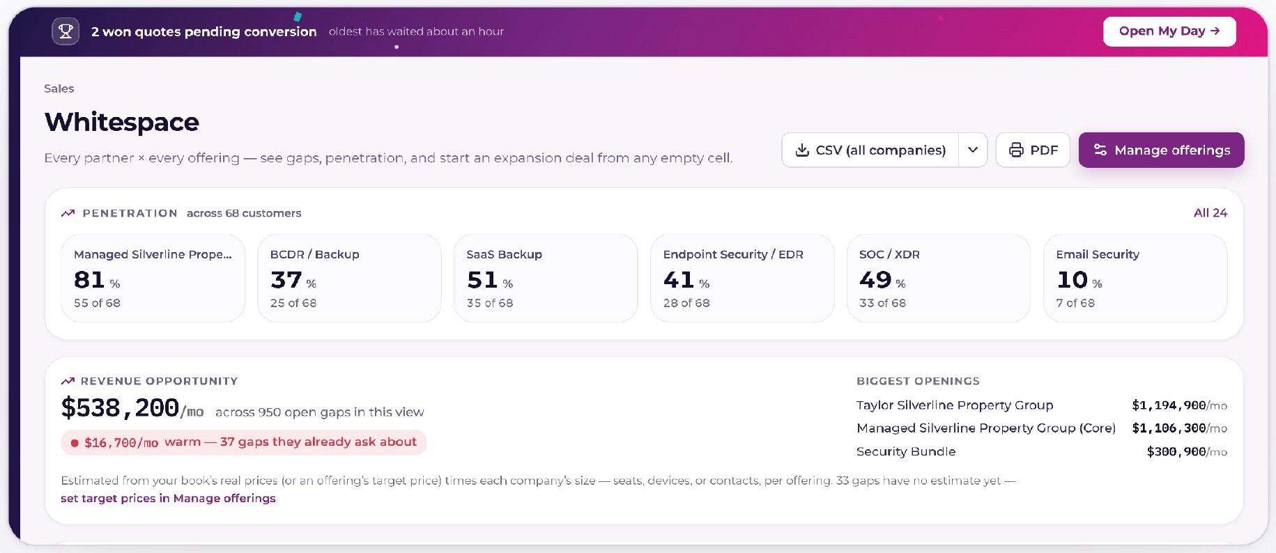 Current Whitespace view showing MSP service penetration by offering and the monthly revenue opportunity in open gaps